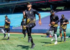 Leones y Navegantes anunciaron fecha de inicio de entrenamientos de pretemporada
